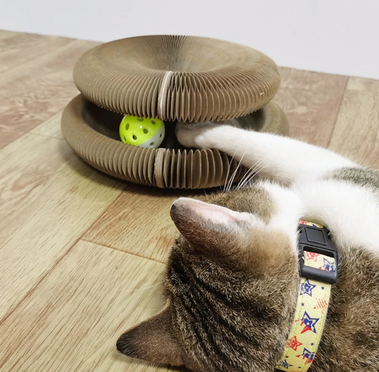 Introducing This Must-Have Cat Toy: Magic Organ Cat Scratcher for Endless Play and Exercise