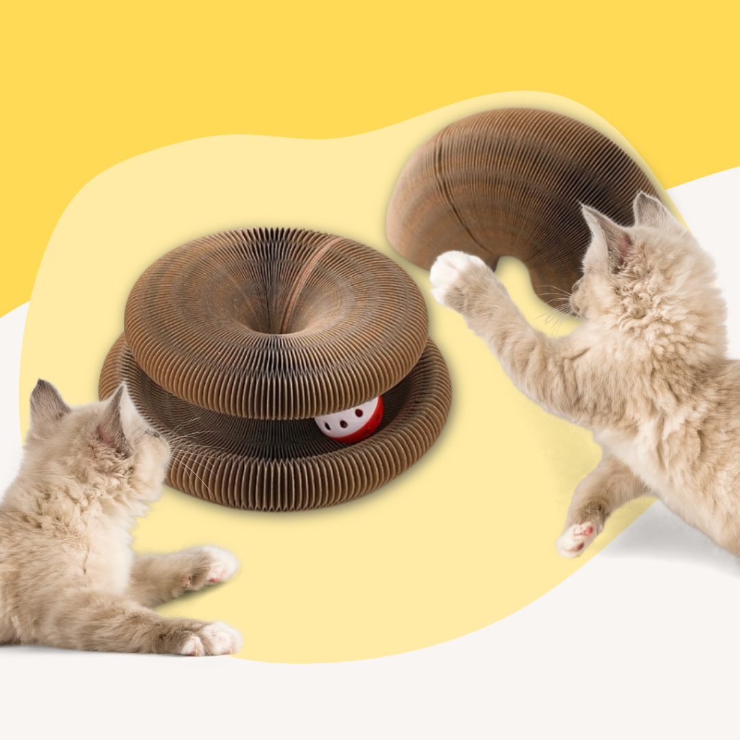 Magic Organ Cat Scratcher