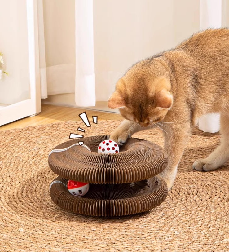 Magic Organ Cat Scratcher