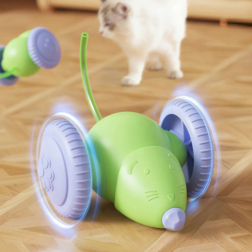 Smart Electric Mouse Teaser