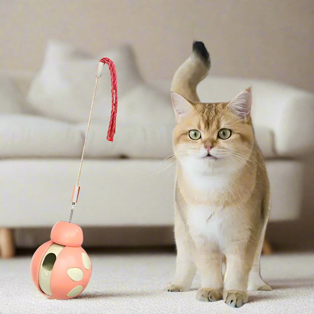 Wobble Ball Treat Dispenser Toy