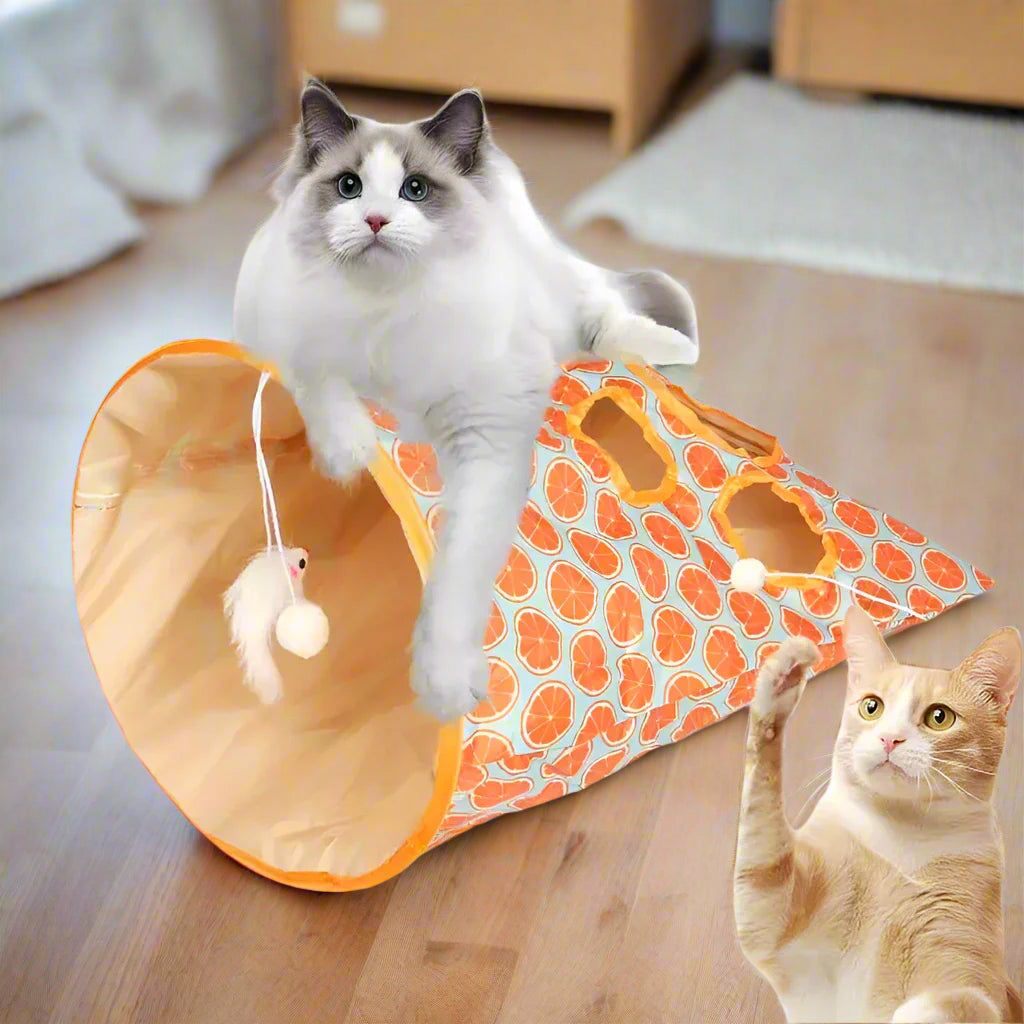 Magic Cat Tunnel Bag