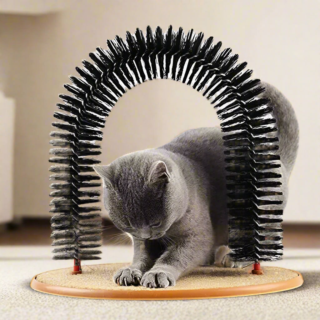 Cat Bliss Scratcher Arch
