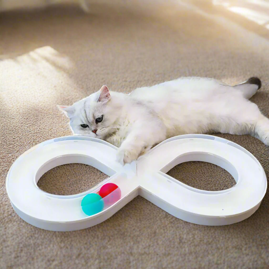 Infinite Path Cat Toy