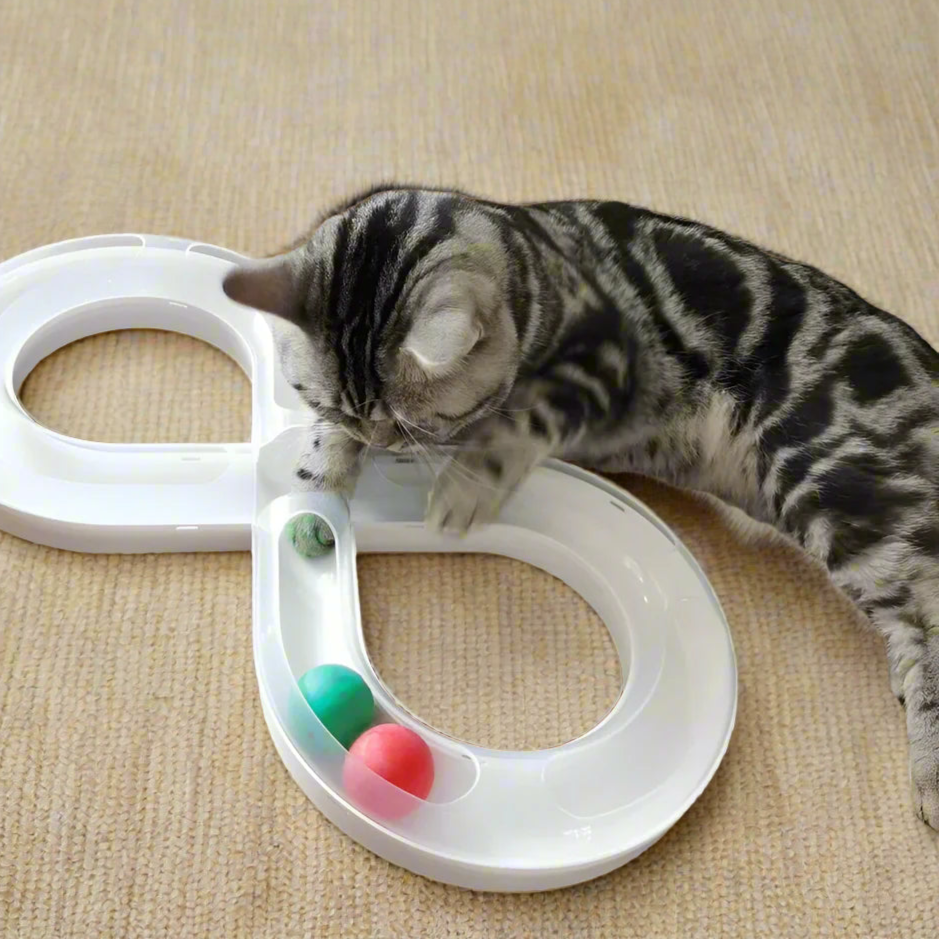Infinite Path Cat Toy