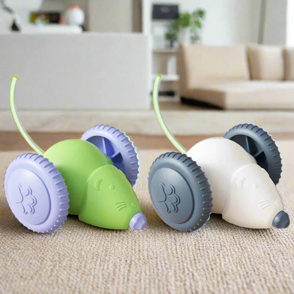 Smart Electric Mouse Teaser