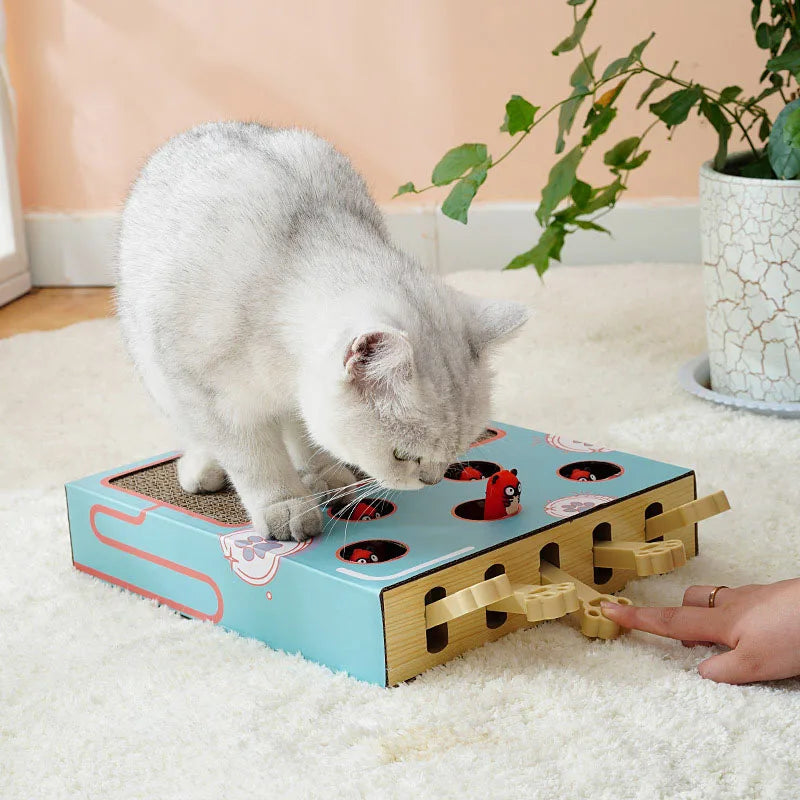 Whac-A-Mole Cat Scratcher Toy