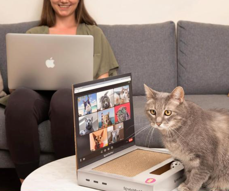 Purrfect Laptop Scratcher