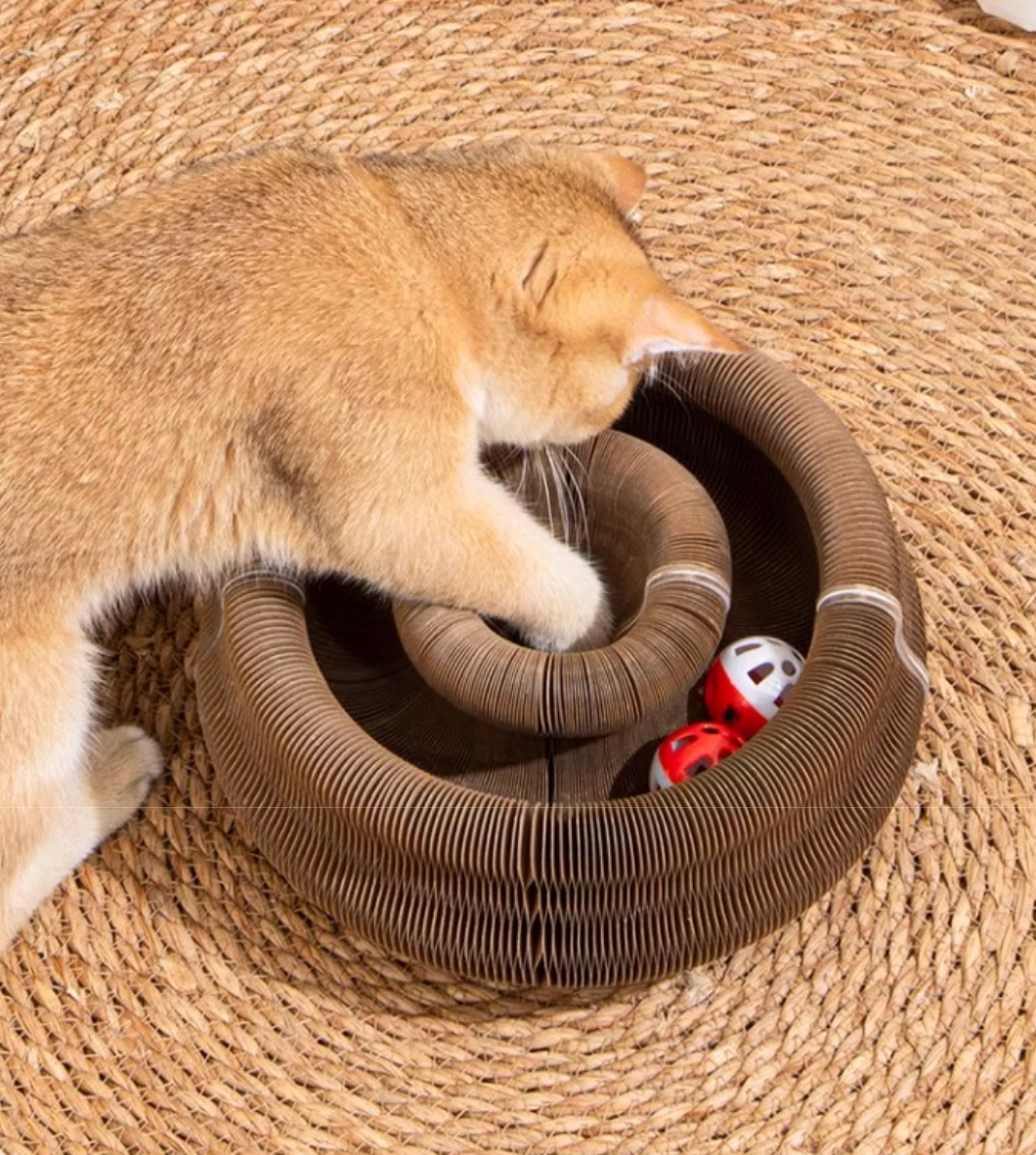 Magic Organ Cat Scratcher