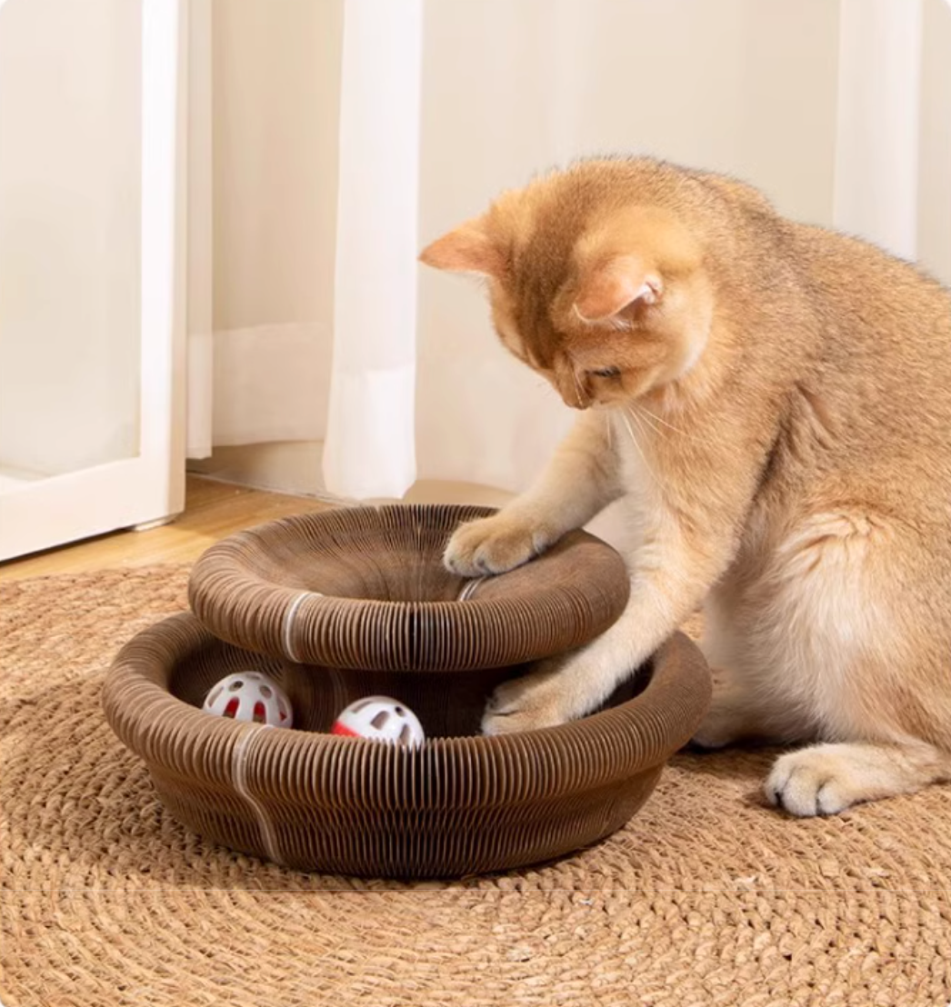 Magic Organ Cat Scratcher
