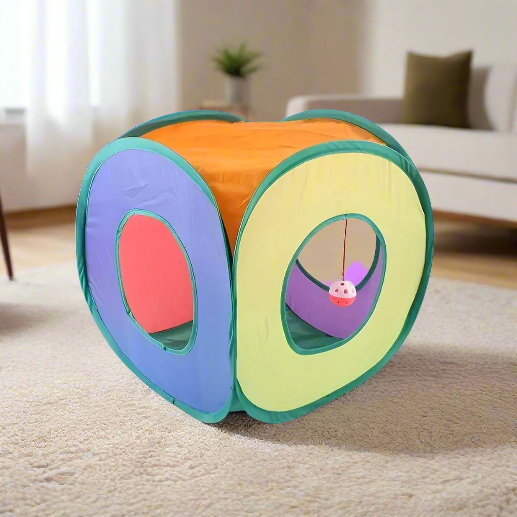Square Rainbow Cat Tunnel