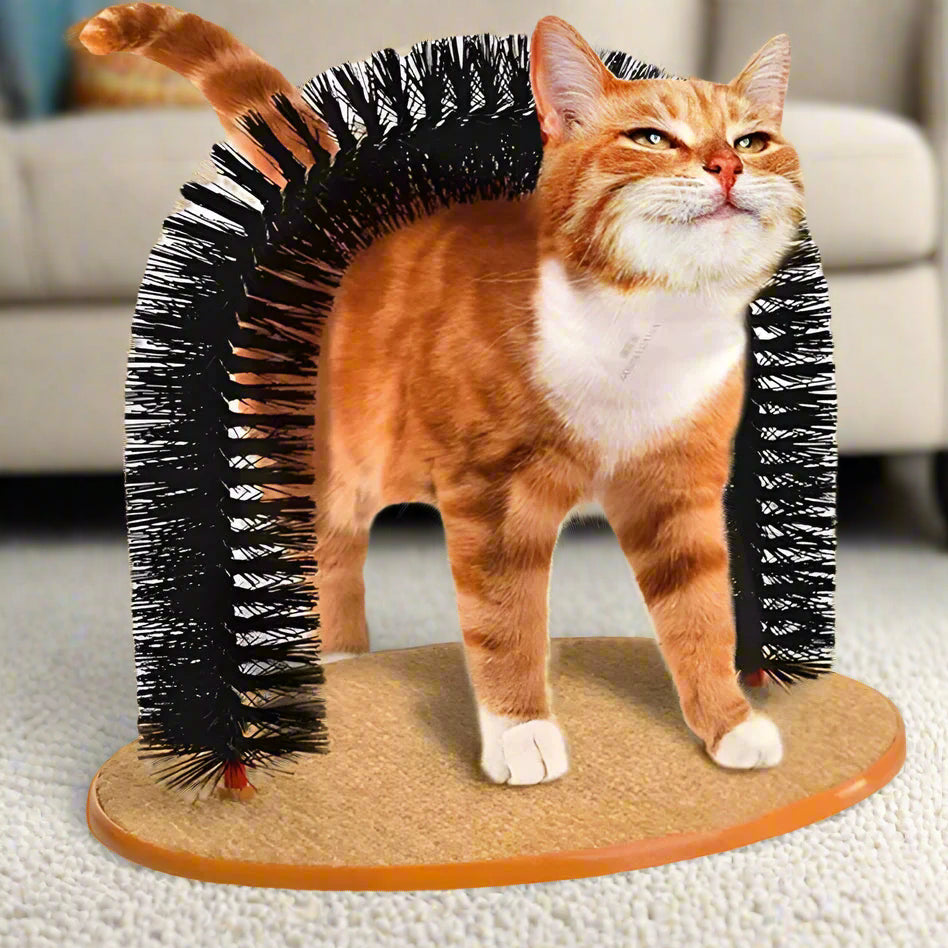 Cat Bliss Scratcher Arch
