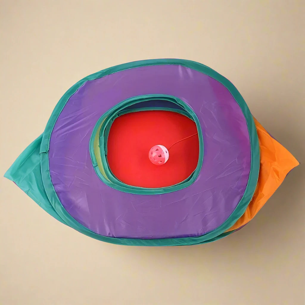 Square Rainbow Cat Tunnel