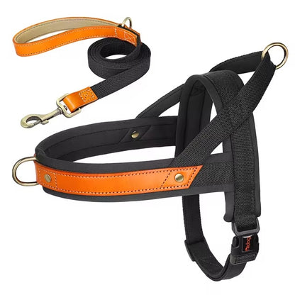 Dual Color Nylon No-Pull Dog Harness & Leash