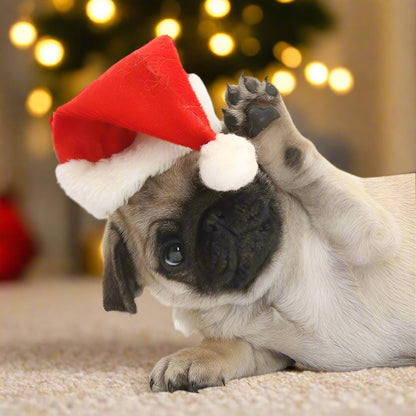 Jolly Santa Hat for Pets