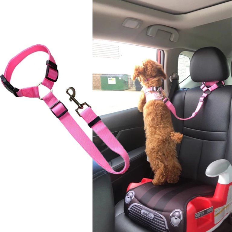 Dog Seat Belt Harness