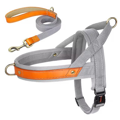 Dual Color Nylon No-Pull Dog Harness & Leash