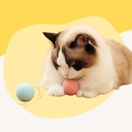 Electric Rolling Cat Ball