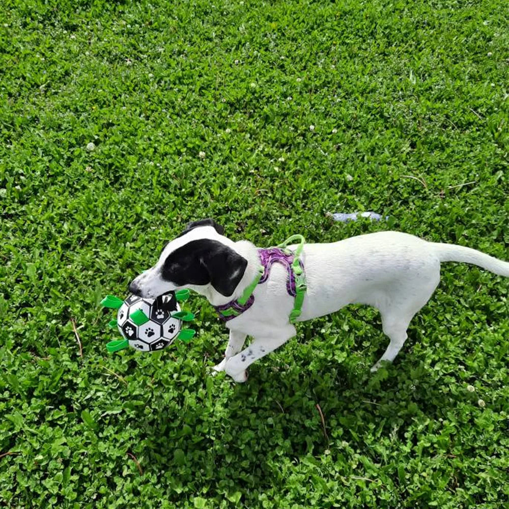 Dog Soccer Ball With Straps