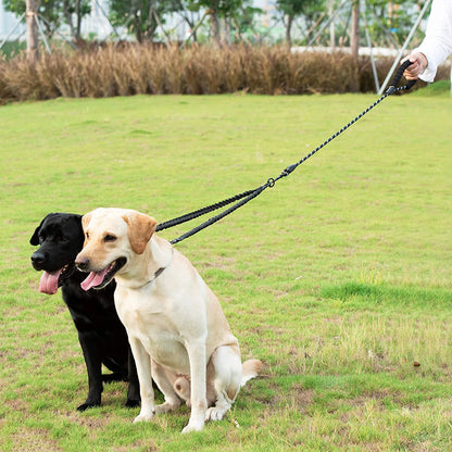 Double Dog Leash