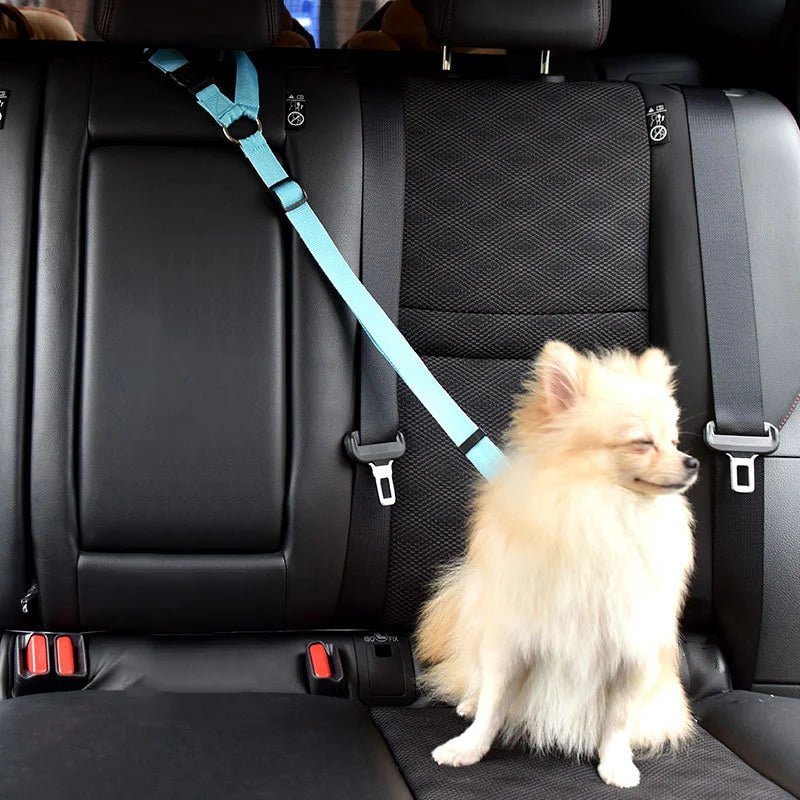 Dog Seat Belt Harness