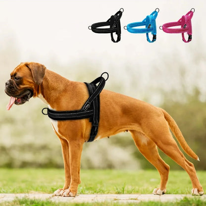 No-Pull Dog Harness