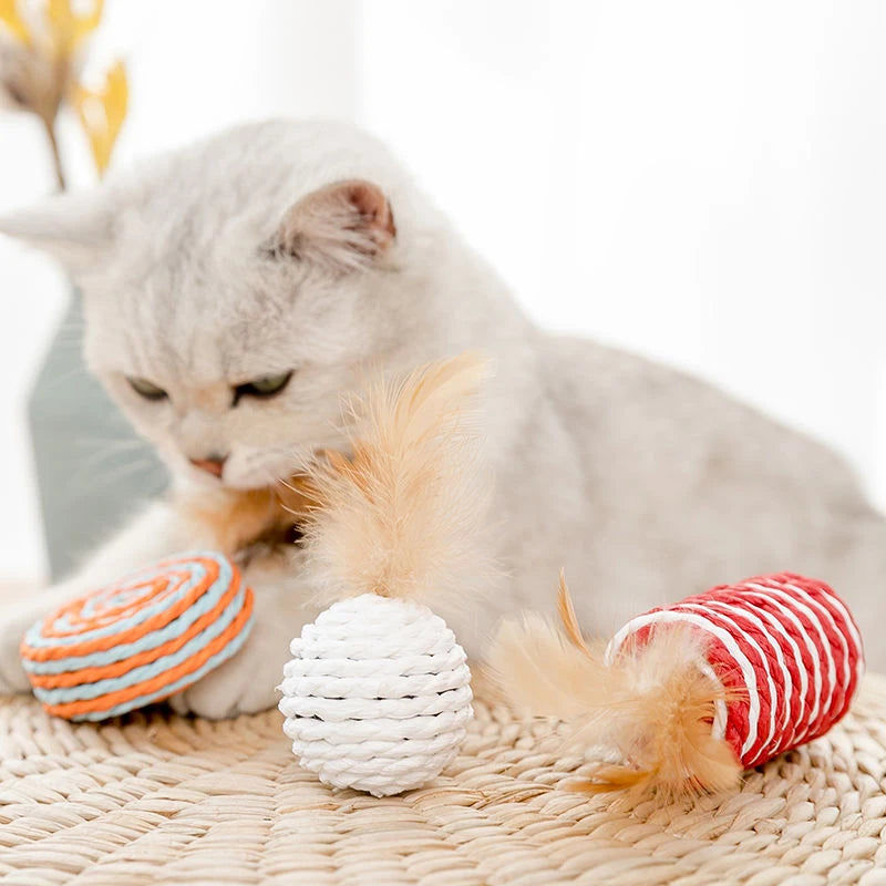 Feather Cat Toy Set