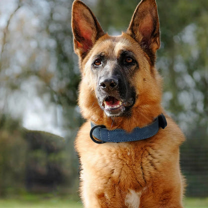 Genuine Leather Dog Collar