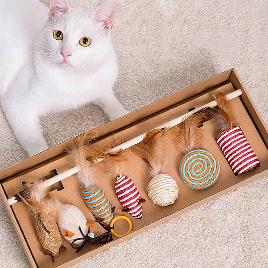 Feather Cat Toy Set