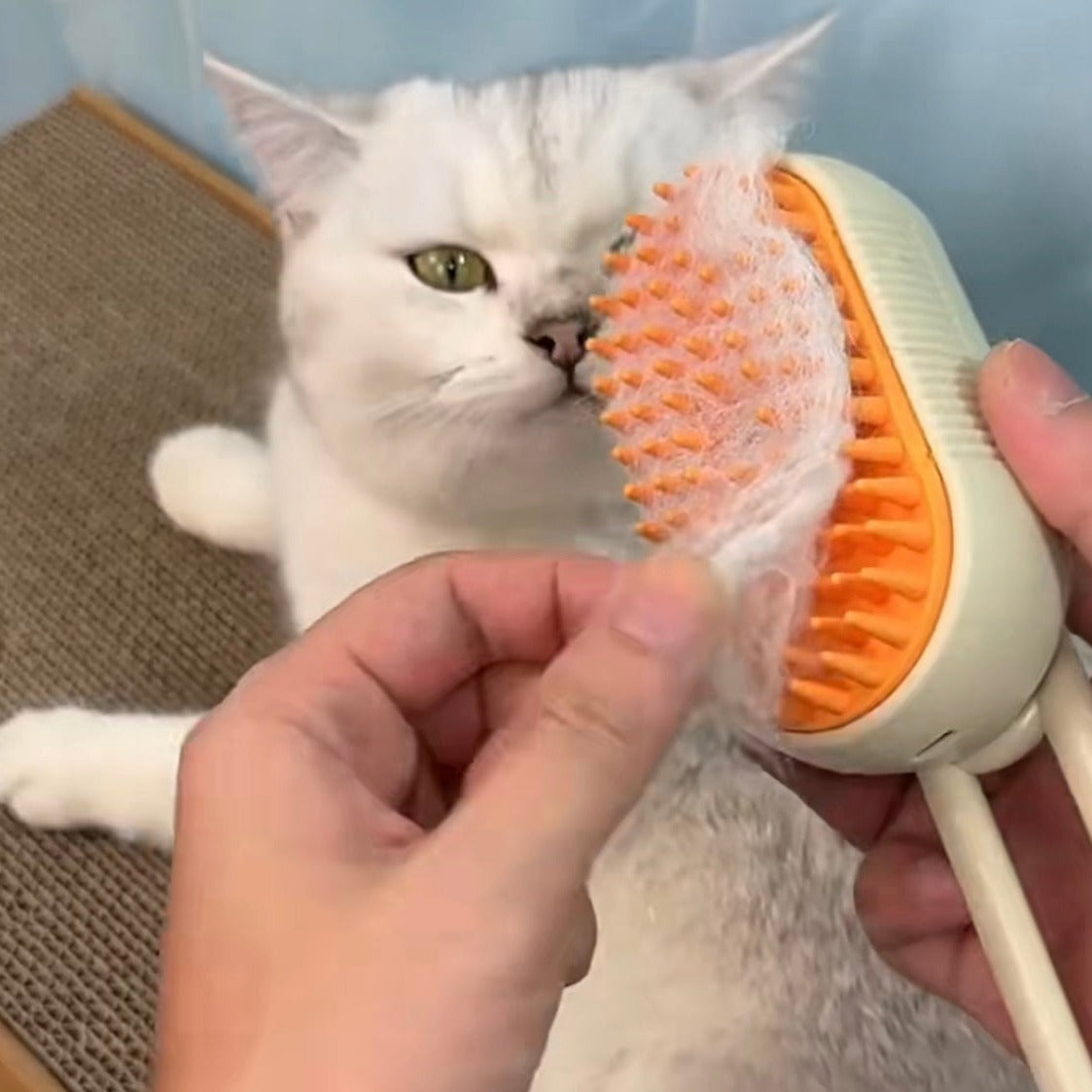 Pet Steam Brush