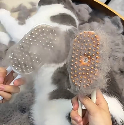 Rechargeable Pet Steam Brush