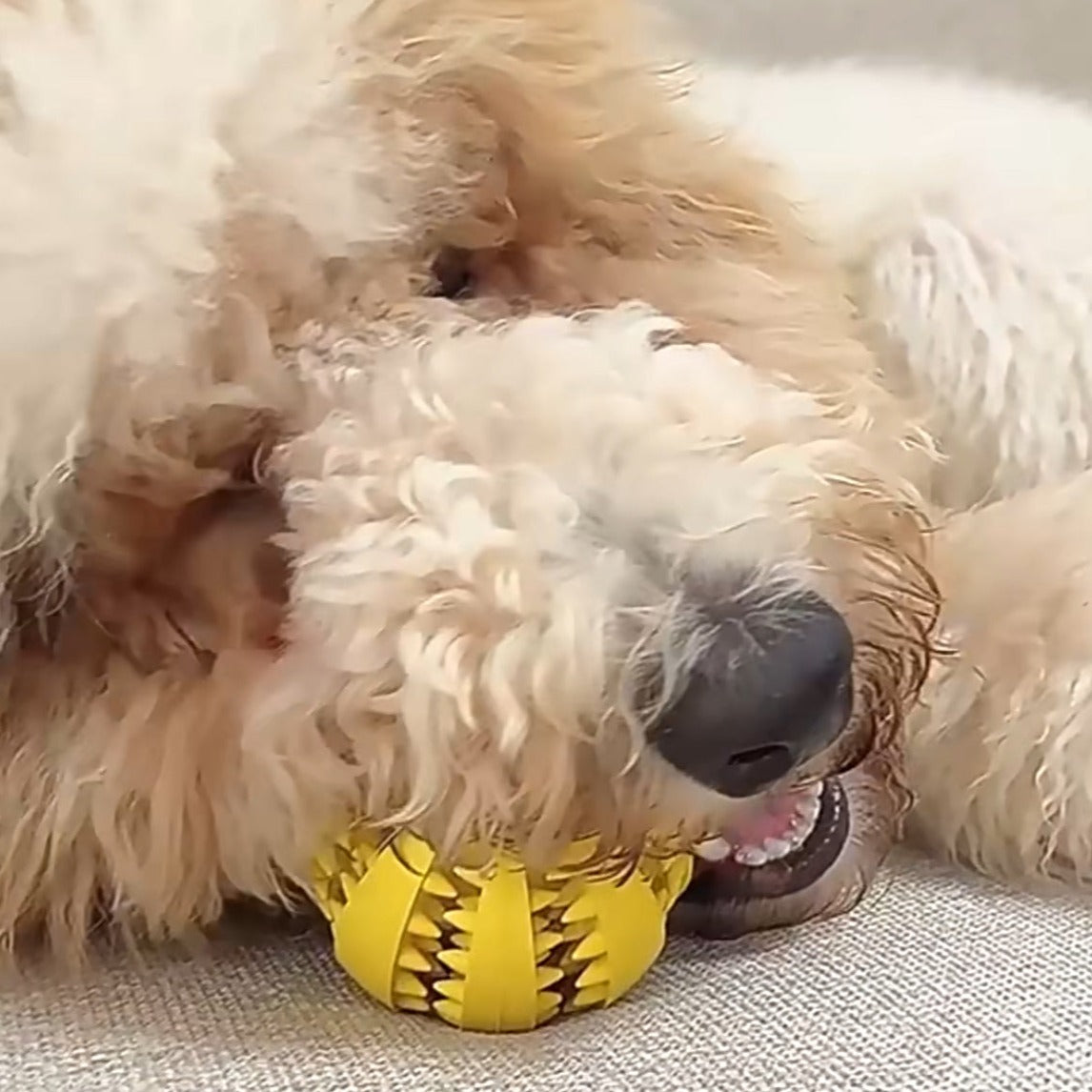 Rubber Teething Ball for Dogs