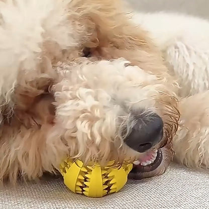 Rubber Teething Ball for Dogs