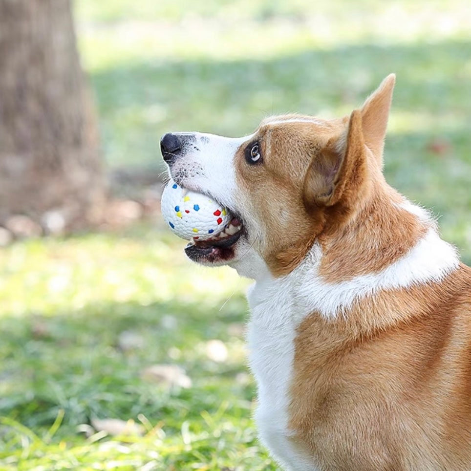 Bite Resistant Dog Ball