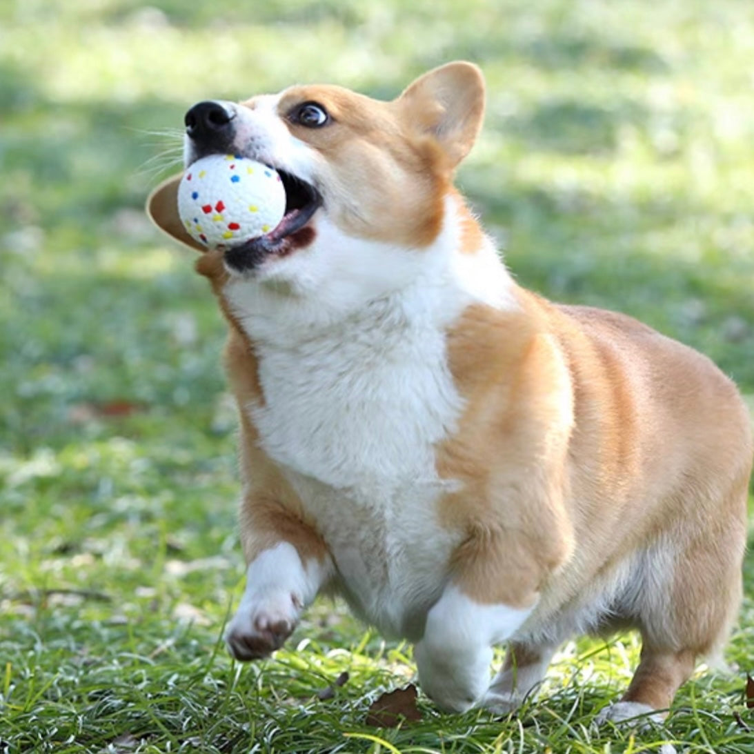 Bite Resistant Dog Ball