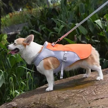 Dog Cooling Vest