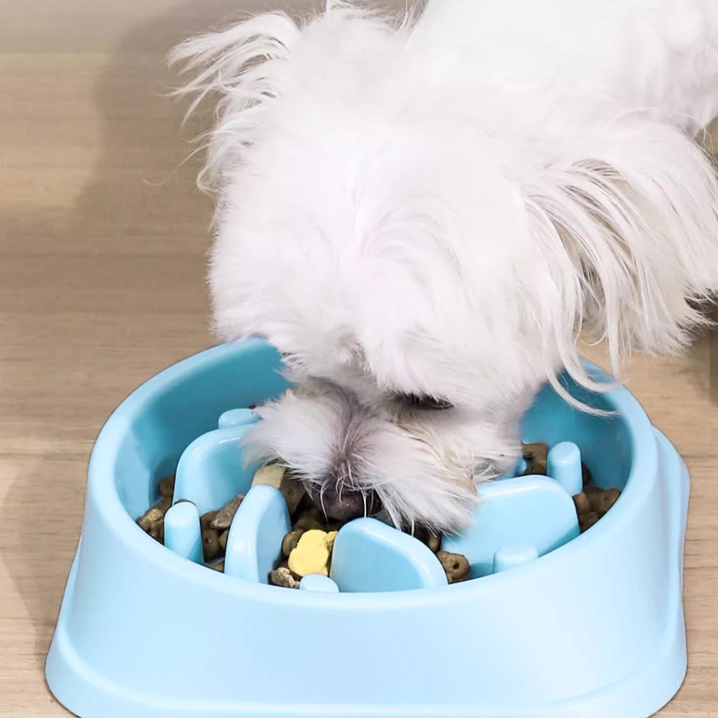 Dog Slow Food Bowl