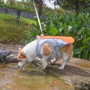 Dog Cooling Vest