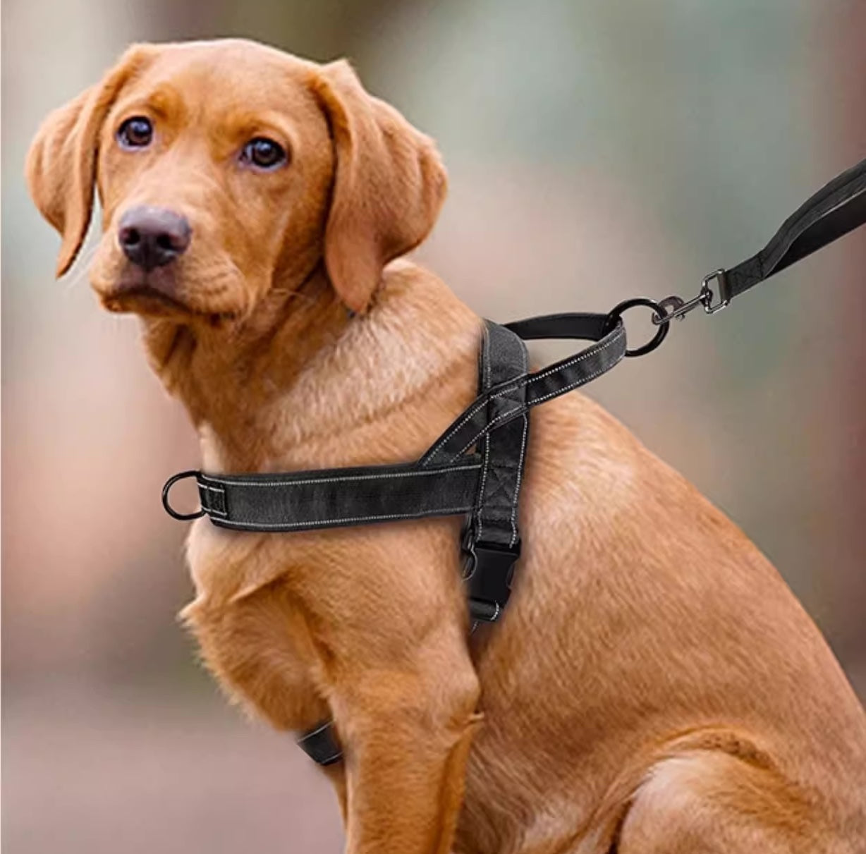 No-Pull Dog Harness