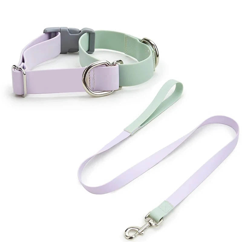 Pastel Dual-Tone Dog Walk Set