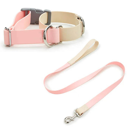 Pastel Dual-Tone Dog Walk Set