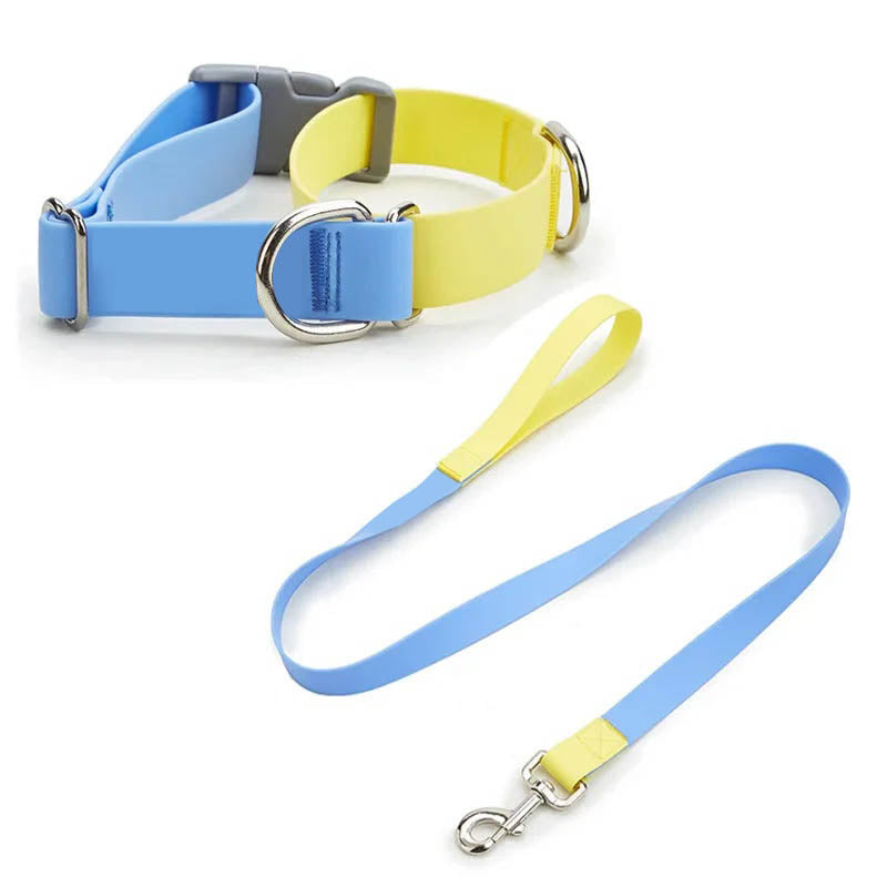 Pastel Dual-Tone Dog Walk Set