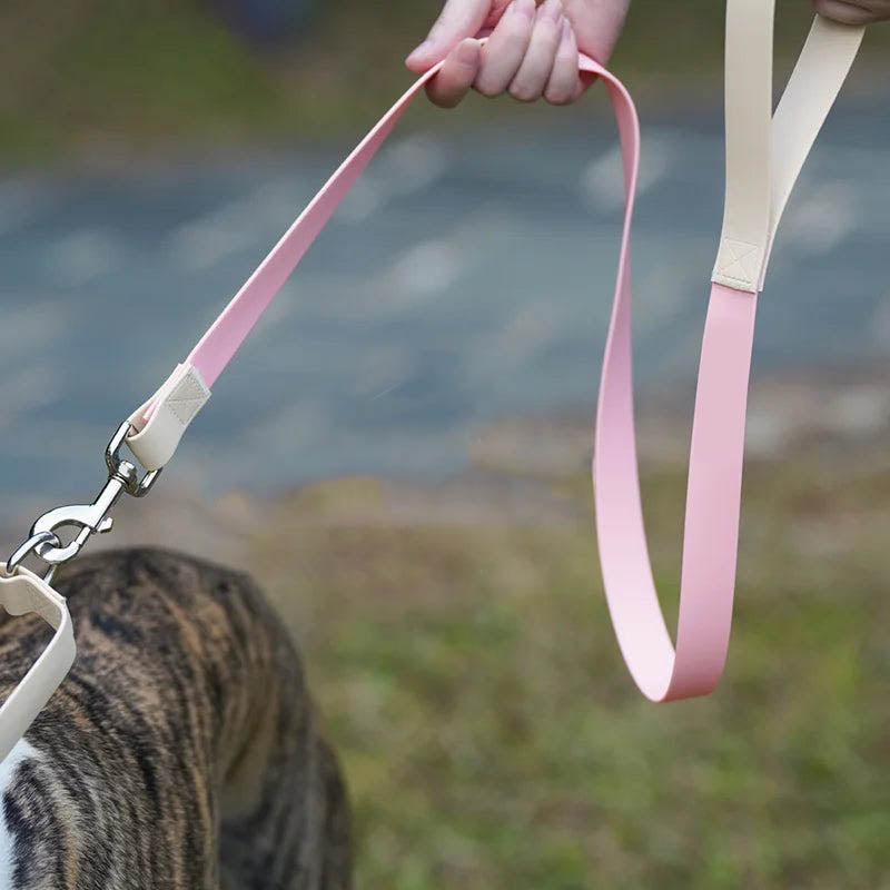 Pastel Dual-Tone Dog Walk Set