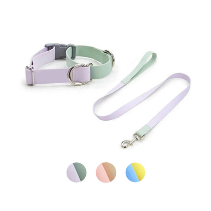 Pastel Dual-Tone Dog Walk Set