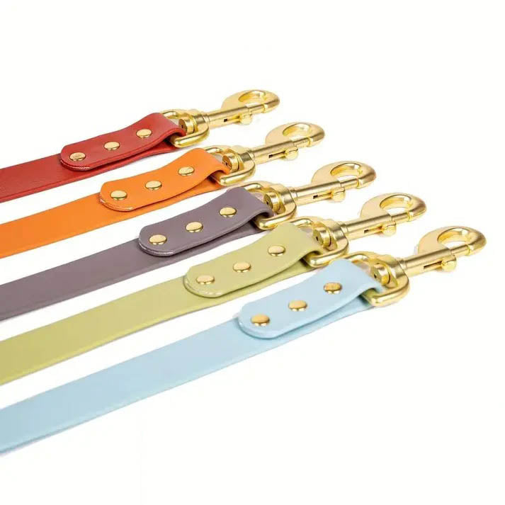 Solid Hue Active Dog Leash