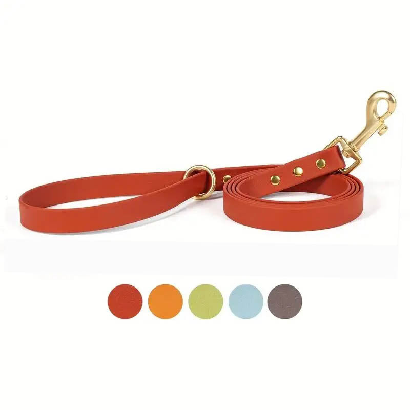 Solid Hue Active Dog Leash