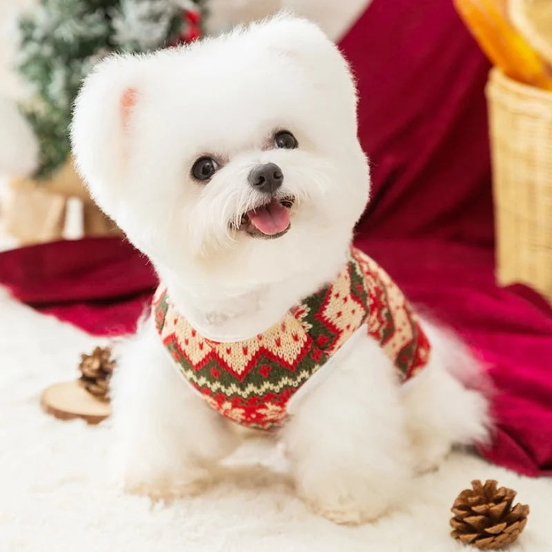 Frosty Christmas Bear Knit Sweater