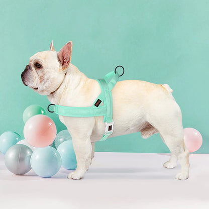 Candy Colored No-Pull Dog Harness