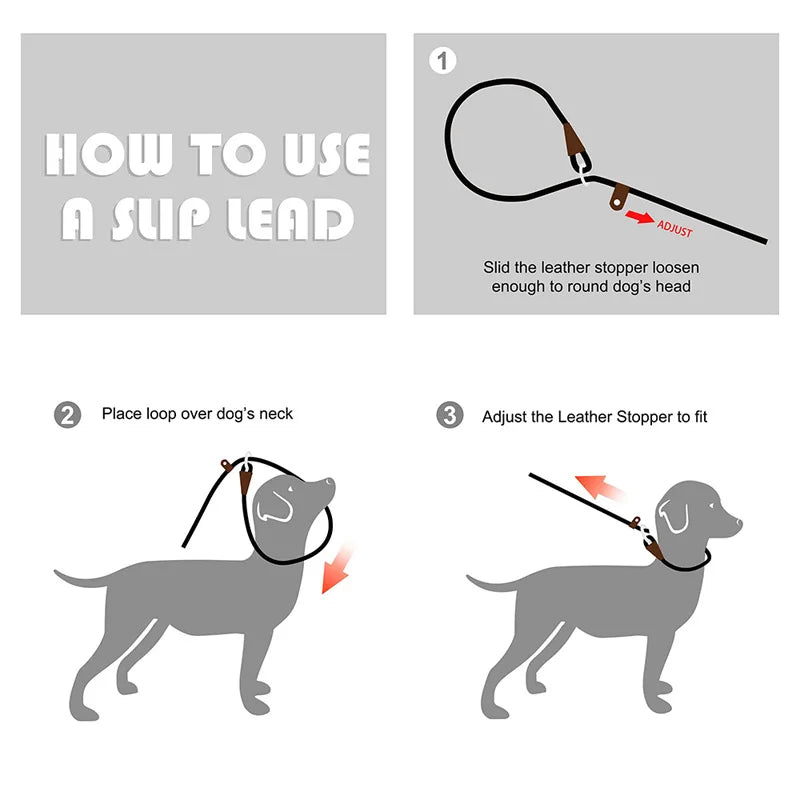 Slip Leash (P leash) for Dogs