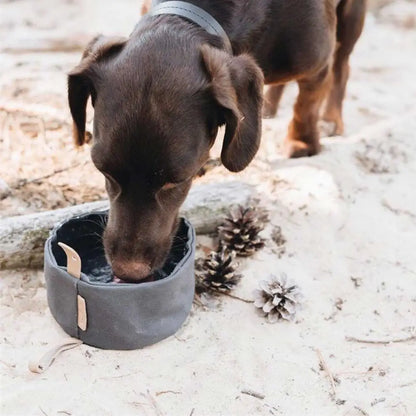 Folding Waterproof Canvas Dog Bowl